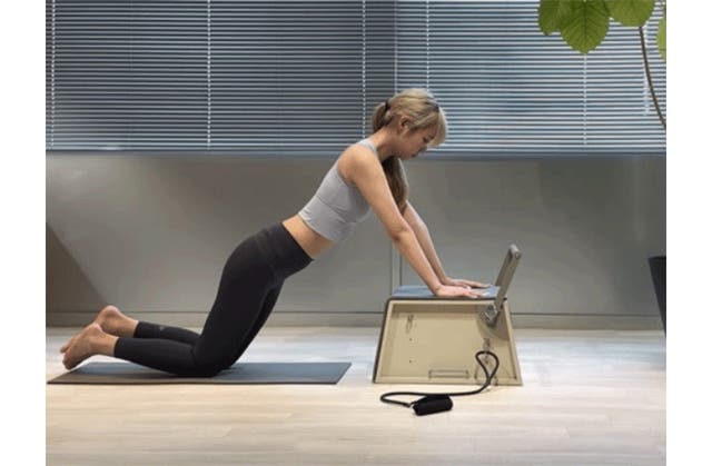 detail_39156_17026454440627.