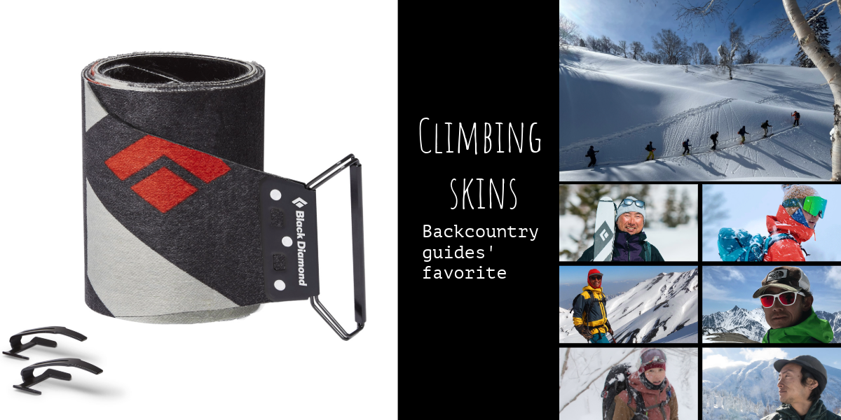 バックカントリーガイド愛用のクライミングスキン'24-25｜プロの選択と