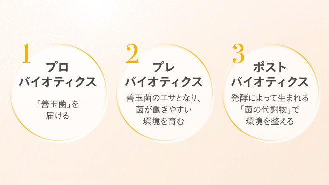 美肌ステファニー(シリーズから探す/スキンケア)の通販 - 銀座