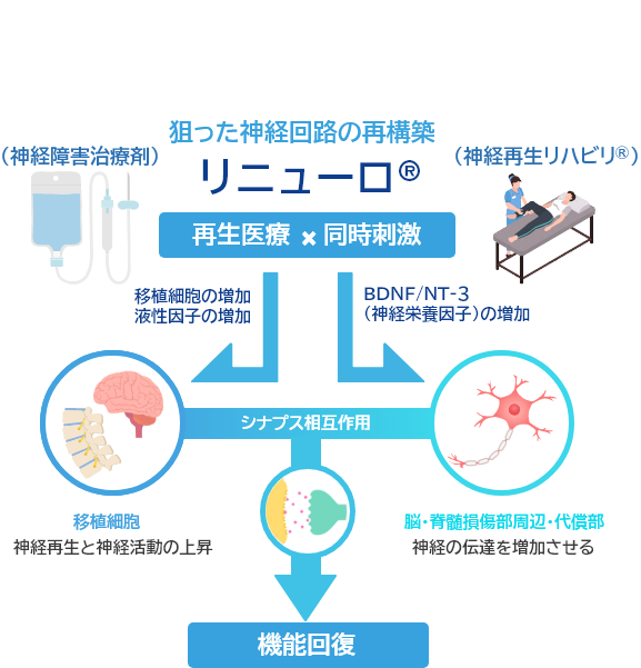 脳梗塞の後遺症治療 - 脳梗塞・脊髄損傷クリニック