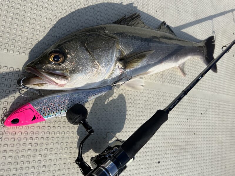 コノシロパターン対応スピニングビッグベイトロッドBOATGAMER SSD