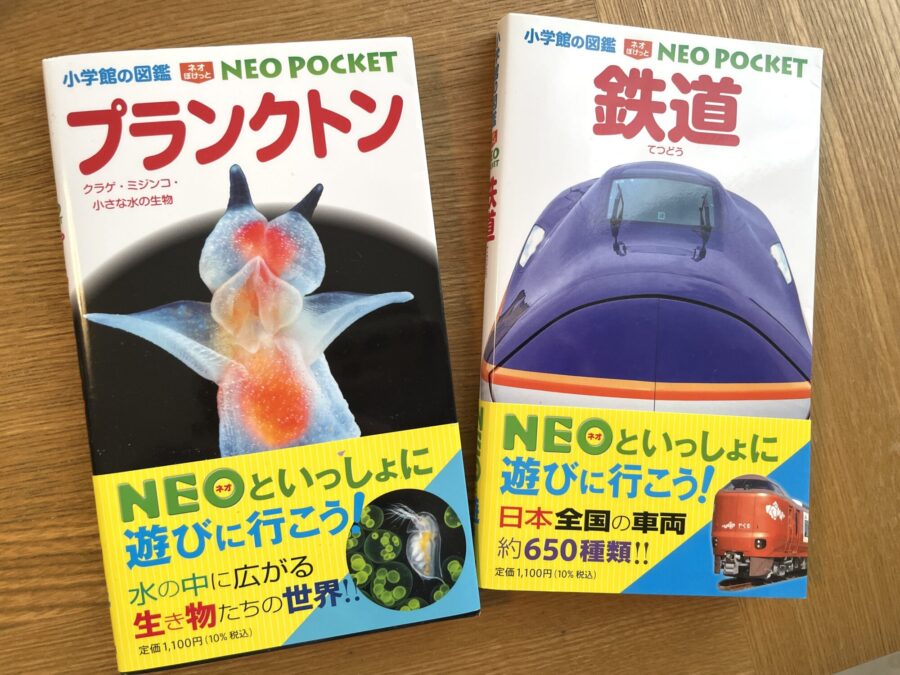 小学館図鑑 NEO POCKET「鉱物・宝石」挿絵制作 | イラストレーター