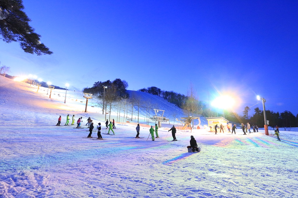 創遊村229スキーランド ‐ スキー場情報サイト SURF&SNOW