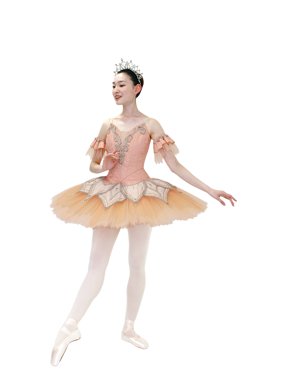 シルビアコスチュームコレクション（オーダーメイドコスチューム