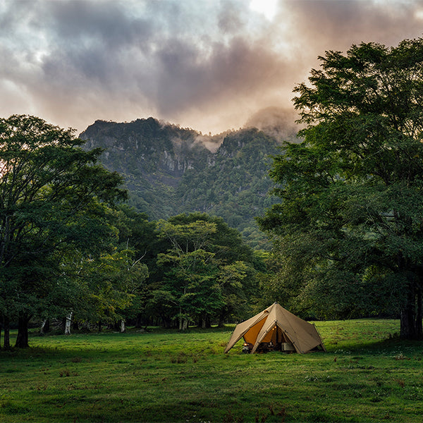 ゼインアーツ ゼクーL PS-004 – aandfonlinestore