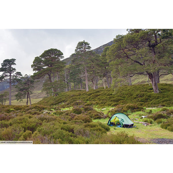 ヒルバーグ アクト サンド – aandfonlinestore