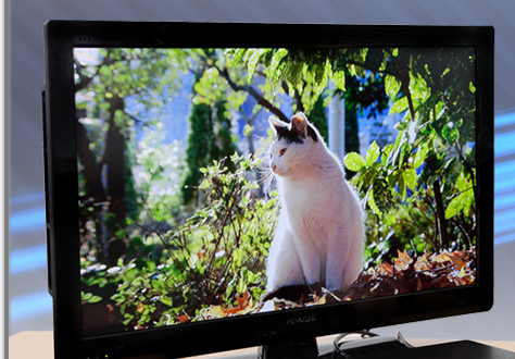 録って！ 増やして!! 持ち出して!!! iV ＋ ブルーレイディスク ＋ 内蔵