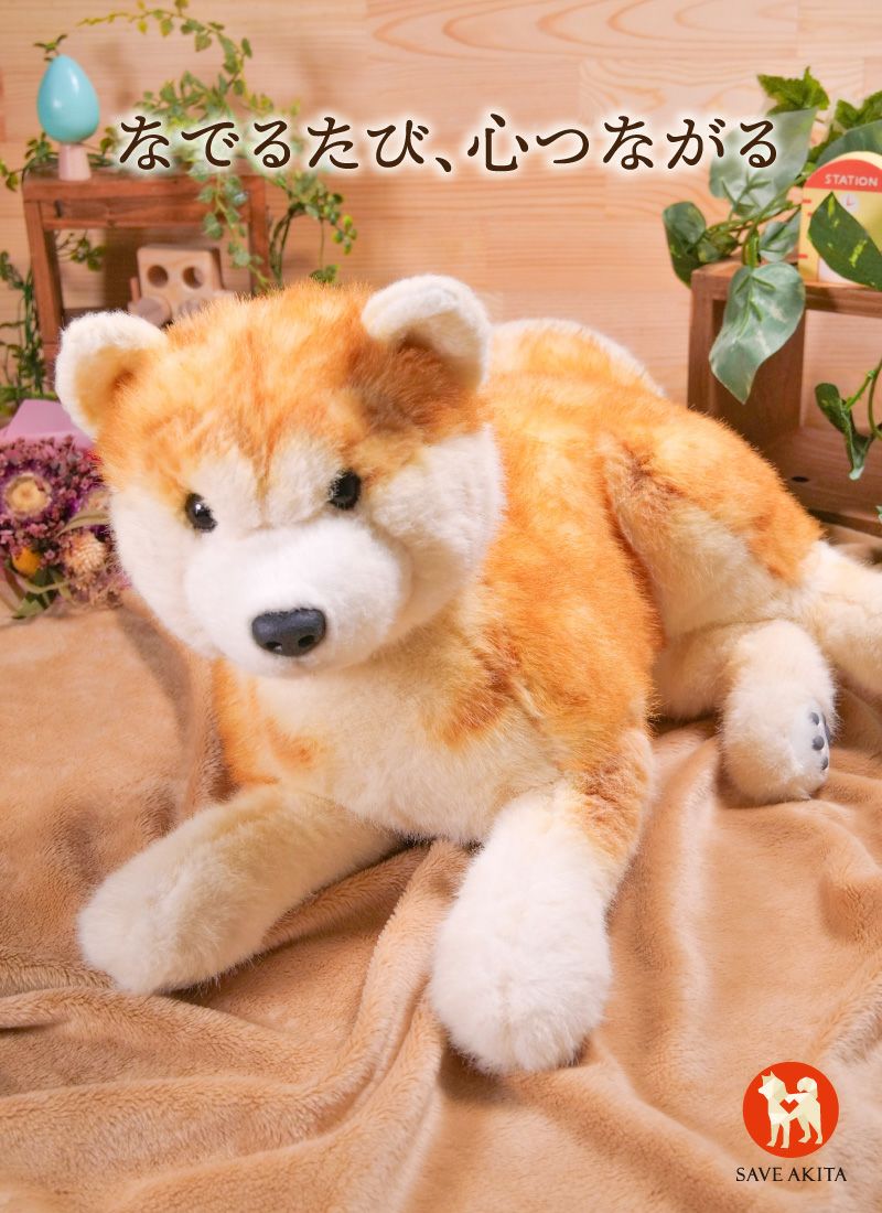 なでなでワンちゃん秋田犬 HACHI‐EX | ハチふる SHIBUYA meets AKITA