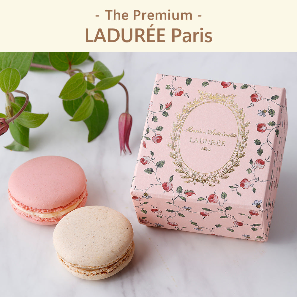 Laduree/ラデュレ-AOYAMA GIFT SALON