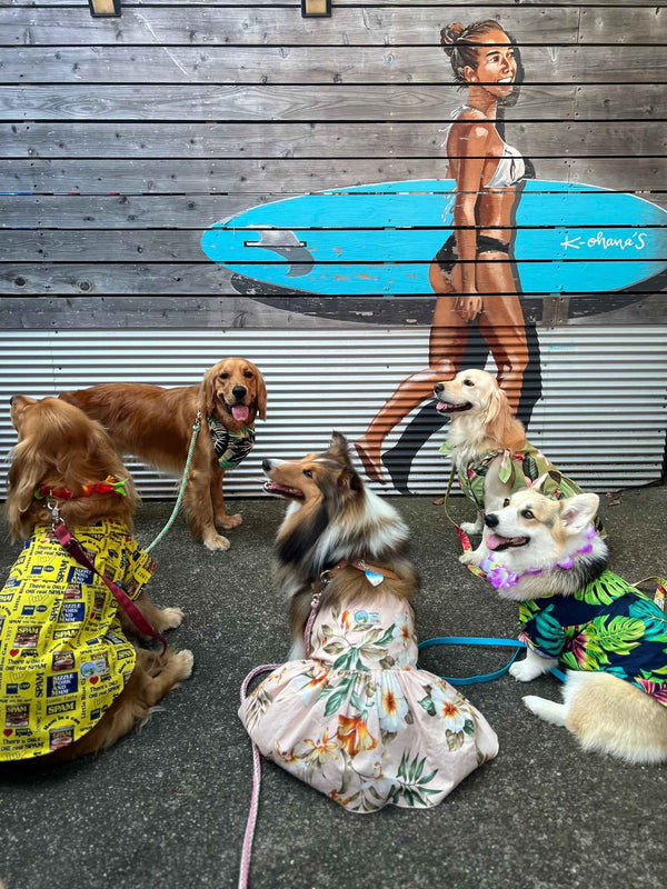 アロハ縫茅ヶ崎（アロハ・ヌイ・チガサキ）オフィシャルショップ