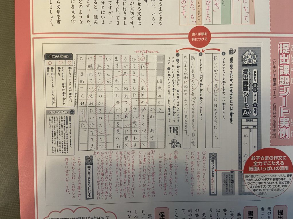 作文嫌いでもやる気UP！ぶんぶんどりむ無料体験と教材比較で見えた