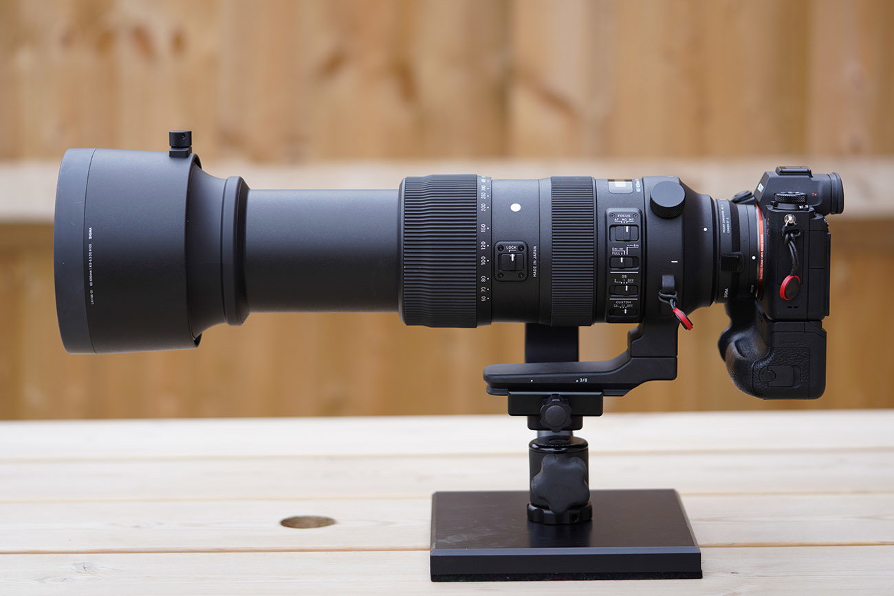 Sigma 60-600mm F4.5-6.3 DG OS HSM Sport Review for Sony E-mount