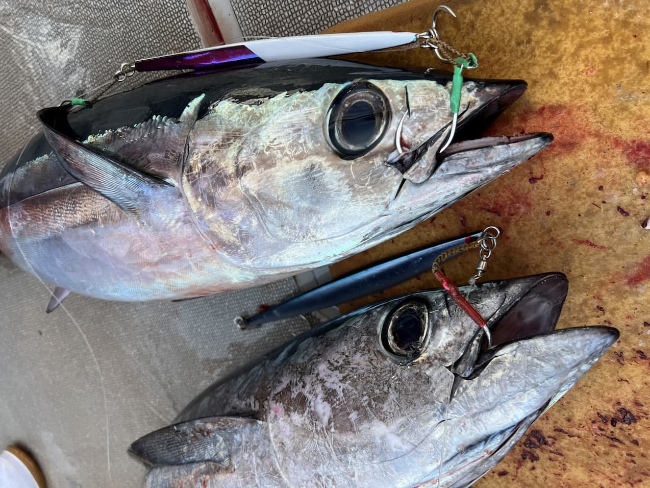 究極のトンジギスペックを誇る日本製ジグ | ANGLERS TIME