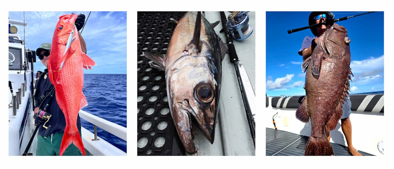 リップルフィッシャーの人気ジギングロッドシリーズ SELFISHに3タイプ