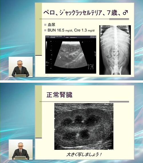 Dr.滝口の腹部エコー読影 エキスパートメソッドⅡ | 株式会社 医療情報