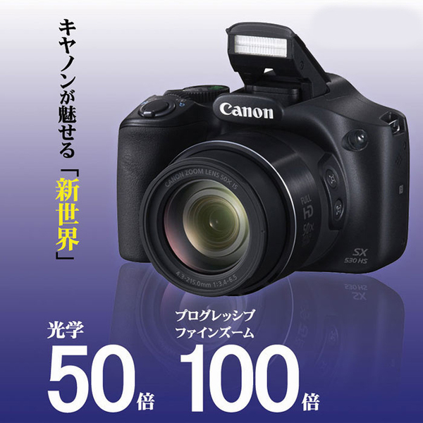 ASCII.jp：4点セットでこのお値段！ Canon 50倍ズームデジタルカメラ