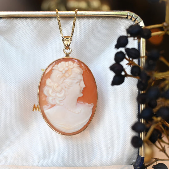 DSC_8159_550x550.jpg?v=1726717377