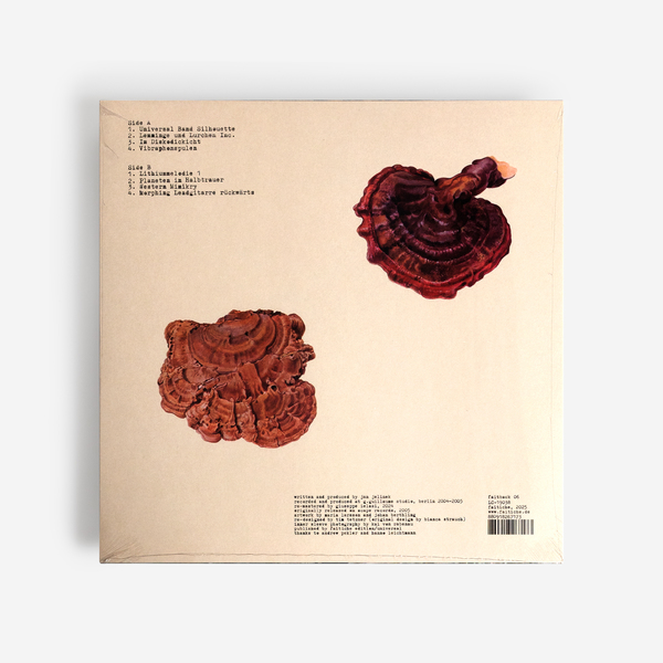 JAN JELINEK - Kosmischer Pitch - Boomkat