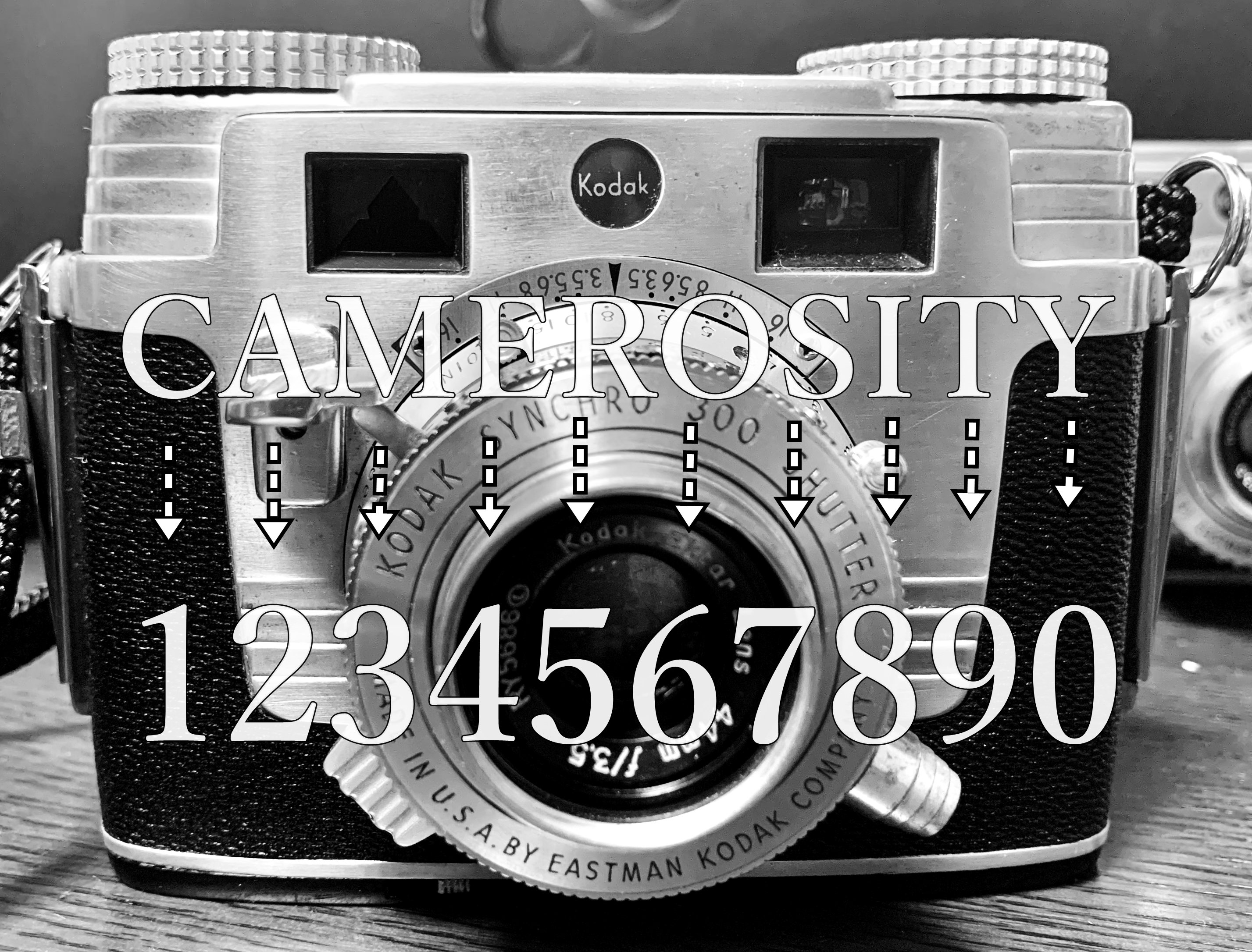 クラシックカメラファン〜Kodak Signet35〜｜Laskeypictures