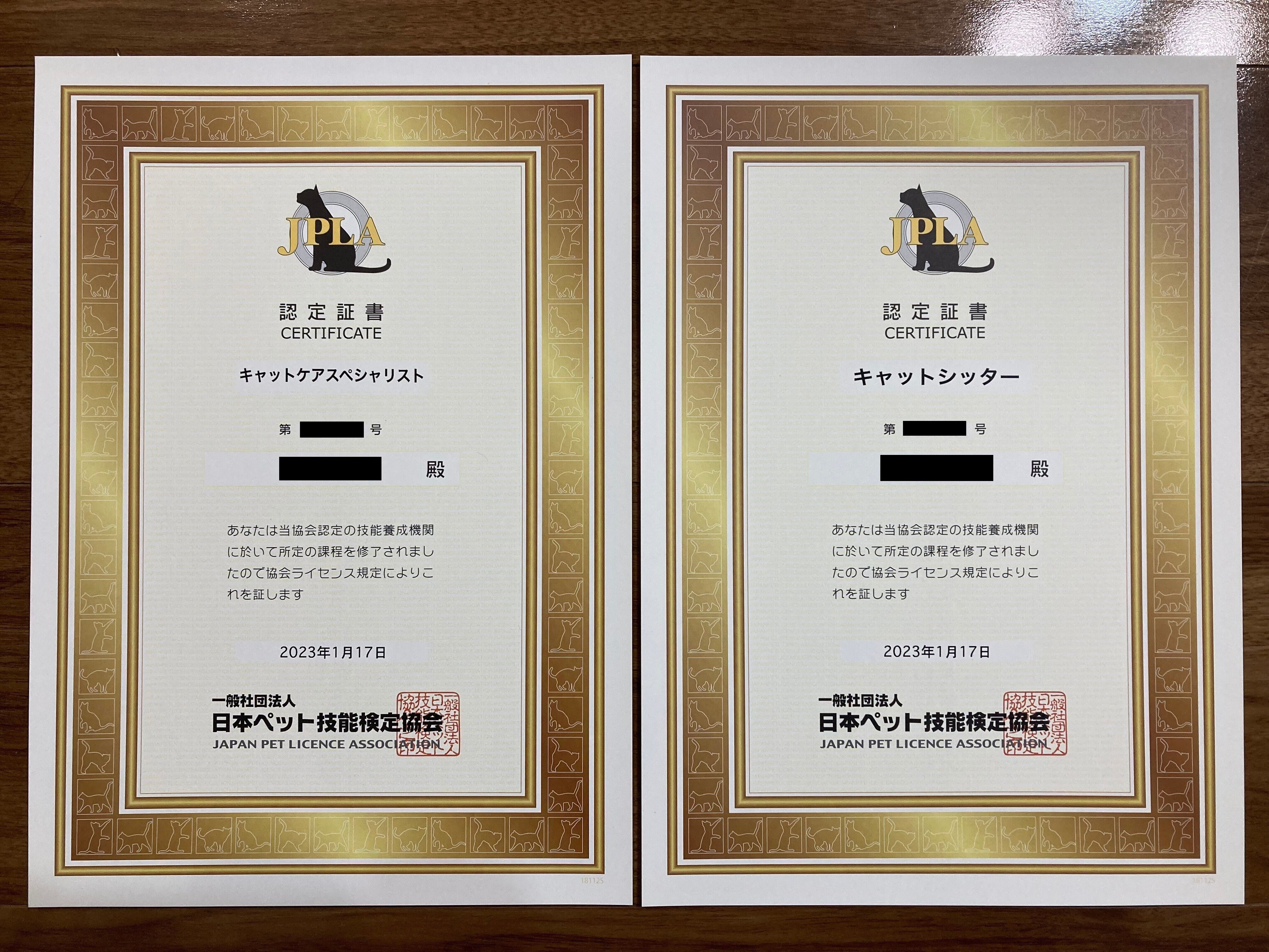 キャットケアスペシャリスト&キャットシッター資格取得 振り返り｜高橋