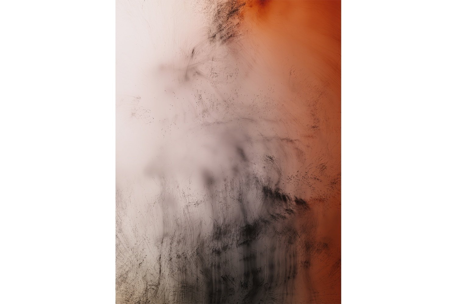 意訳】ヴォルフガング・ティルマンス： Multitudinal Pictures