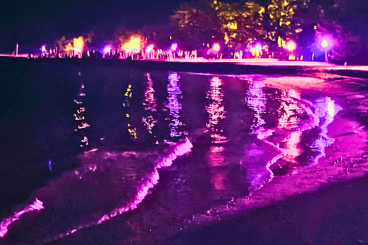 天橋立の夏夜】龍の灯りが照らす『文殊堂出船祭』｜智恩寺と海辺の幻想