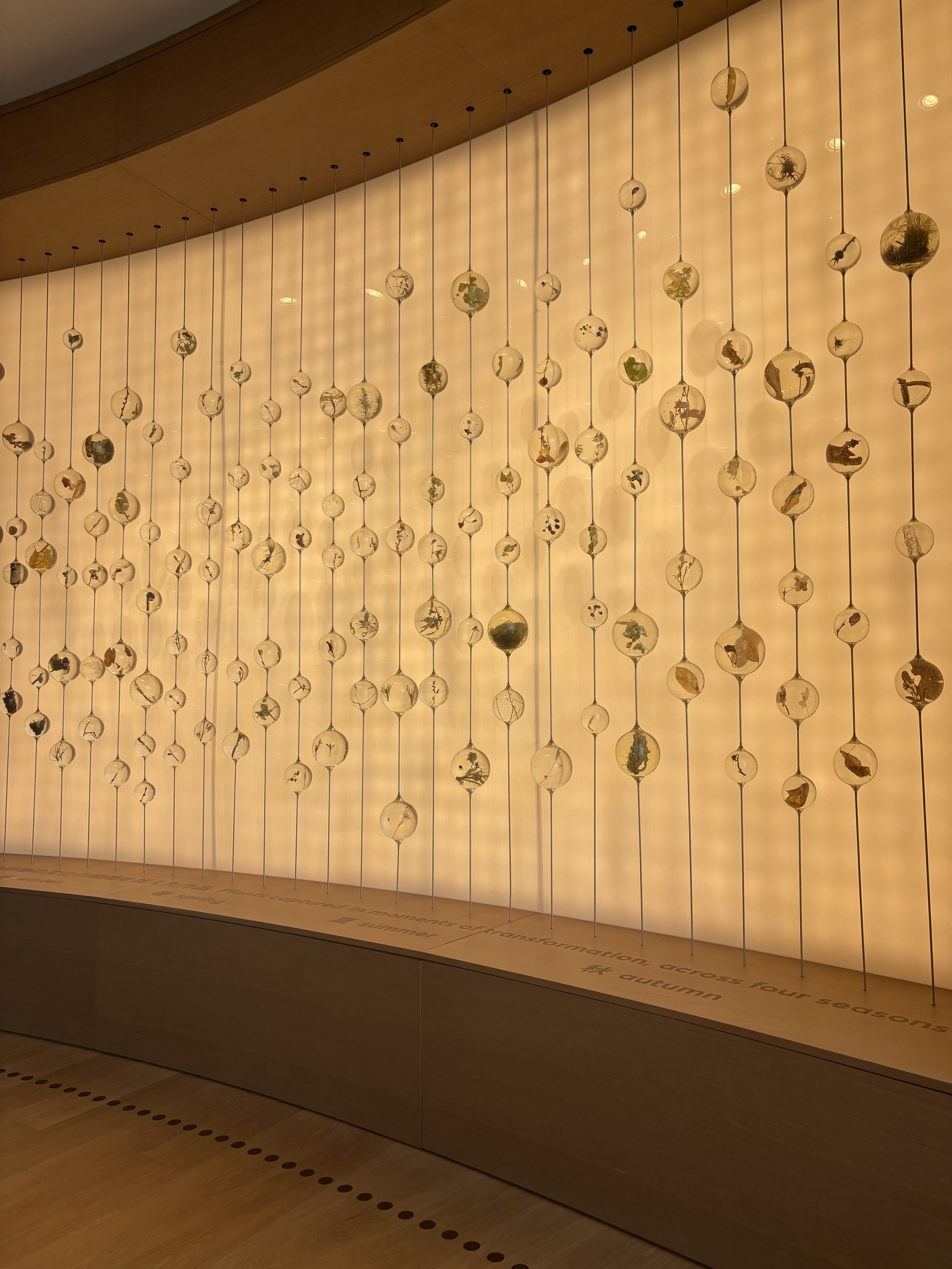 万博2025体験記 #56】ポーランド館で花を咲かせた日｜BlueSkyWorks