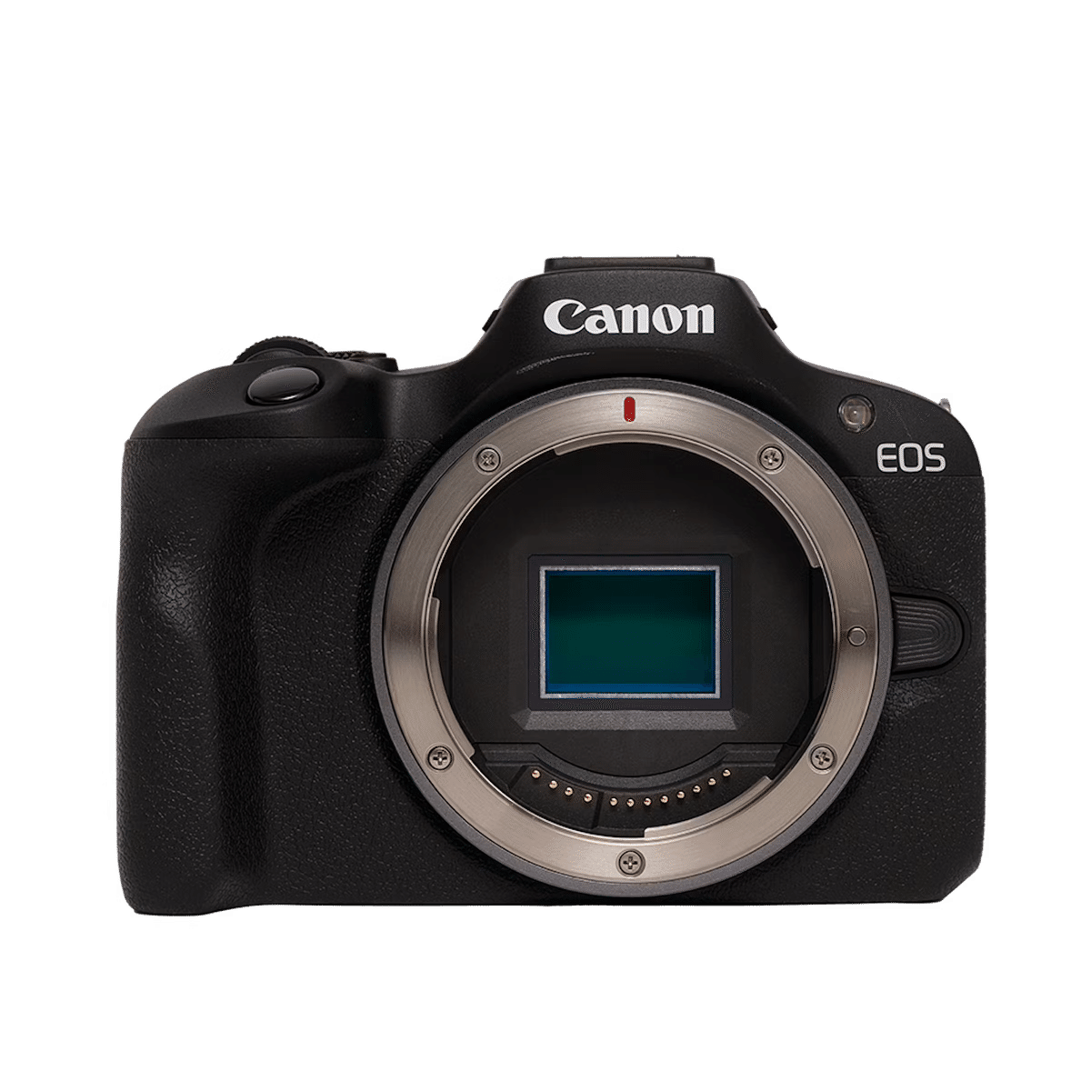 Canon初心者向けカメラおすすめ5選！ミラーレスがおすすめな理由と失敗