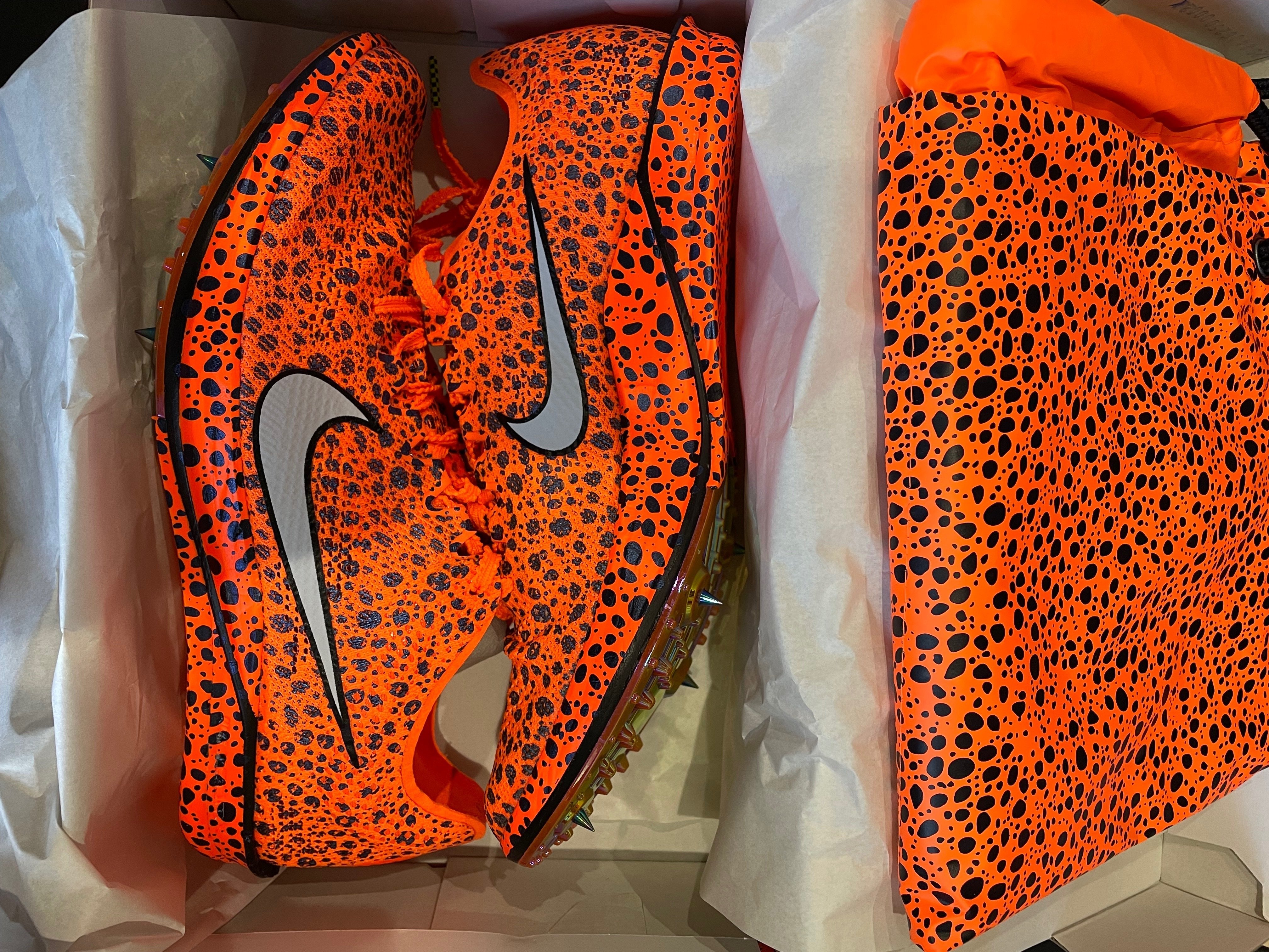 Nike Dragonfly 2 Elite first look｜Running Dr.(ランニングドクター)