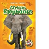 African Elephants - Bellwether Media, Inc.