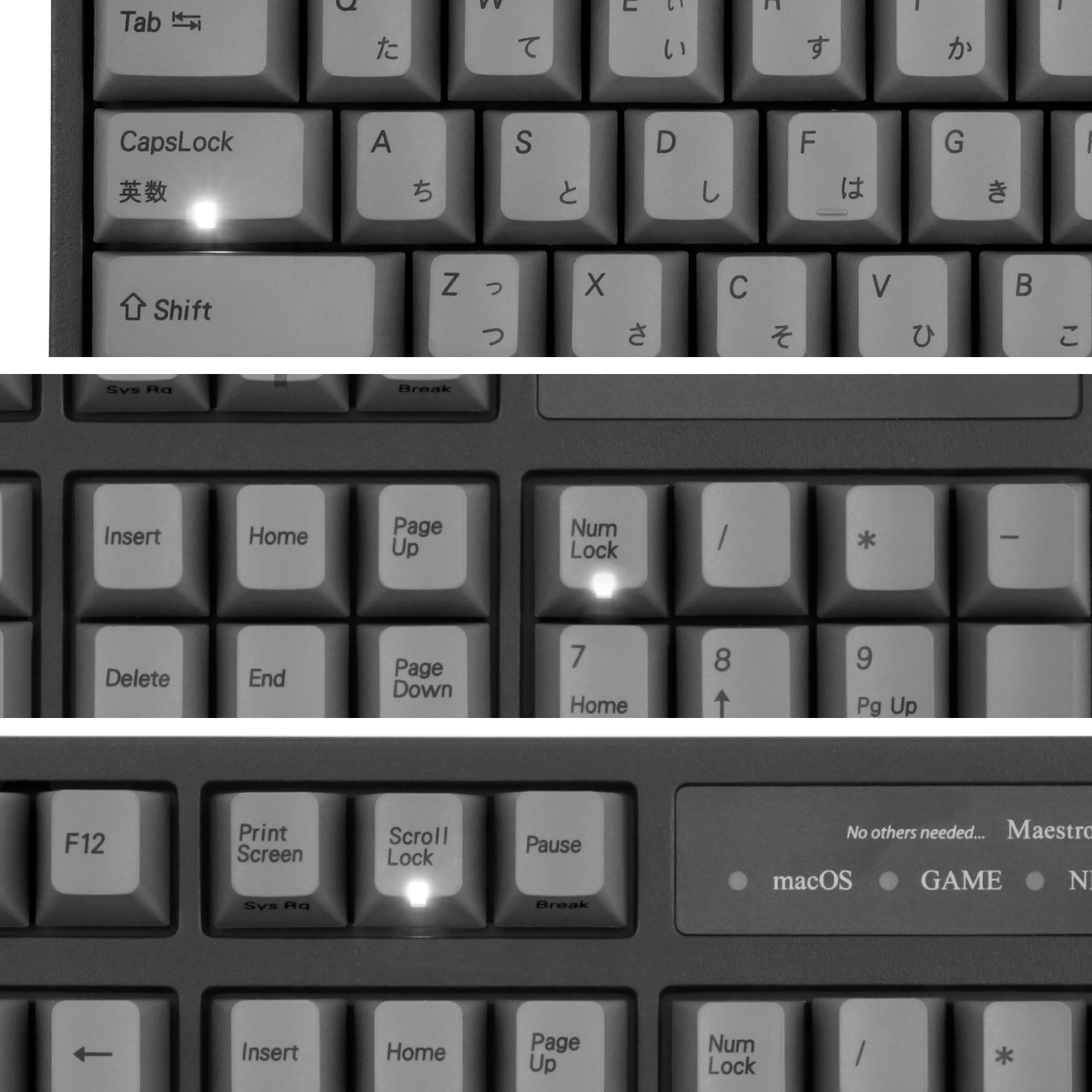 Maestro FL（日本語配列）- メカニカルキーボード - ARCHISS - 株式