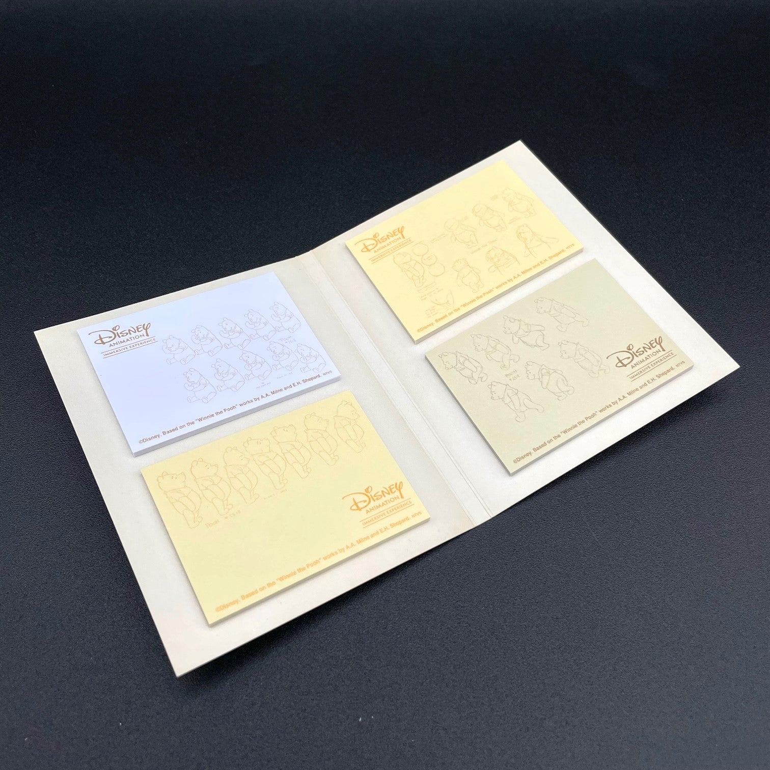 グッズ開封】「ディズニー・アニメーション・イマーシブ