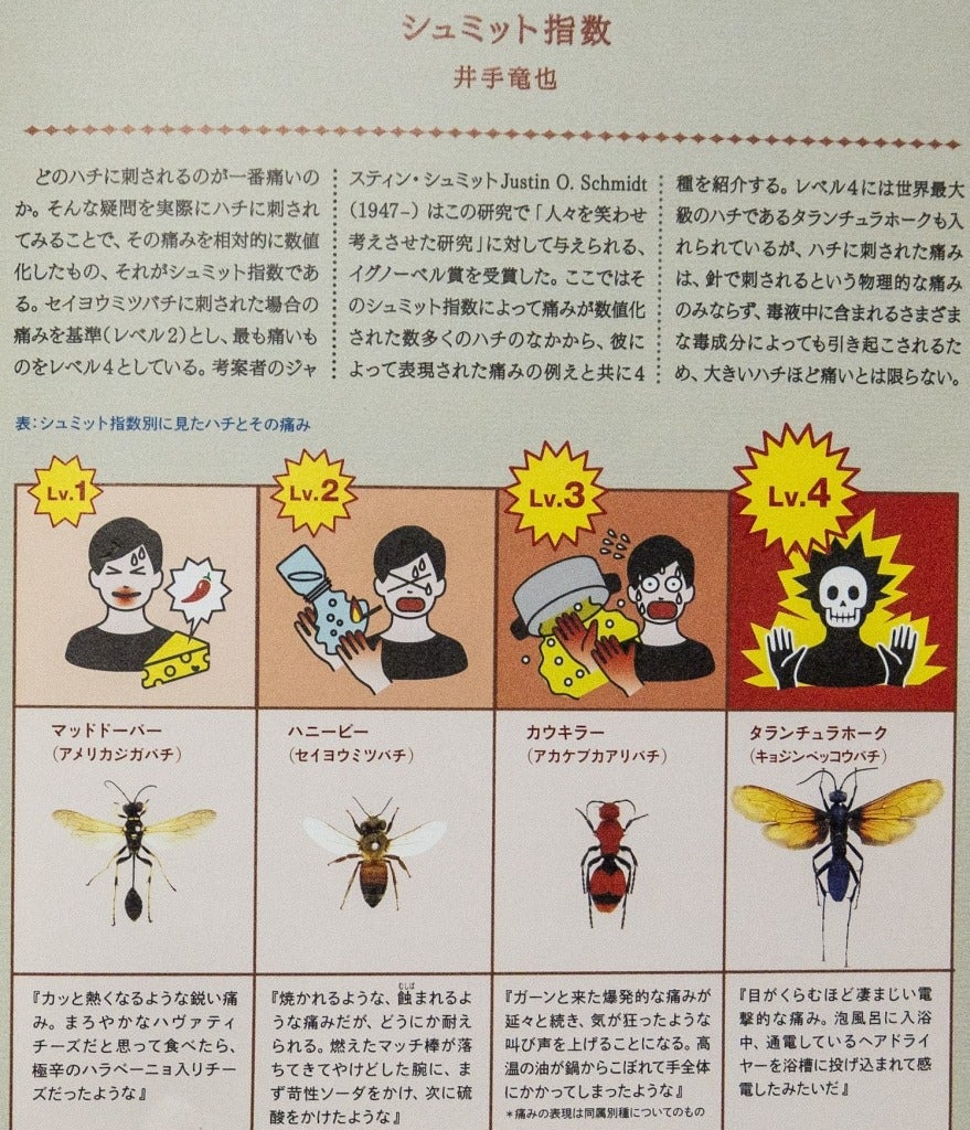 毒展図録開封の儀】美しい装丁で豊富な情報量が魅力の特別展「毒」の