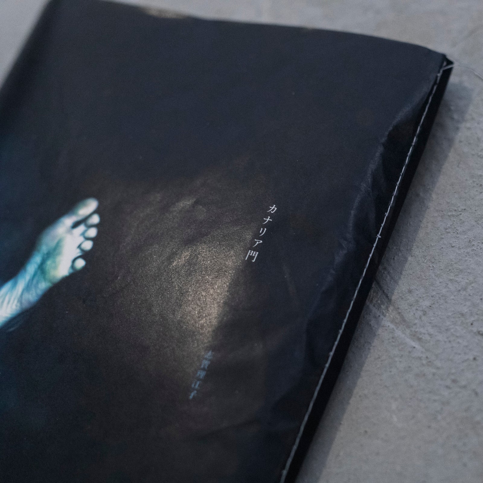 カナリア門｜志賀理江子 – At Sea Day