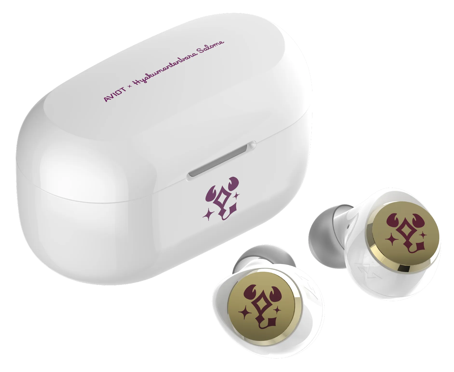 TE-V1R-SLM 製品情報｜AVIOT