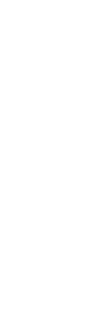 NAMIOH-波王 - B-TRIBE