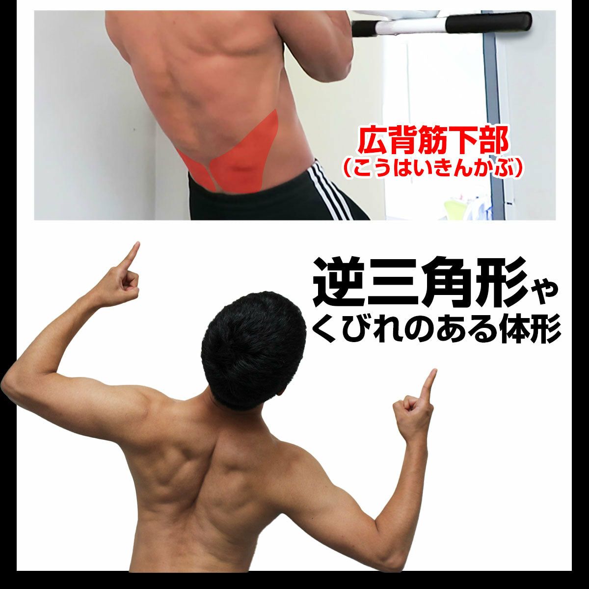 懸垂 自宅 ドア どこでもマッチョ PRO2 チンニング 鉄棒 ぶら下がり