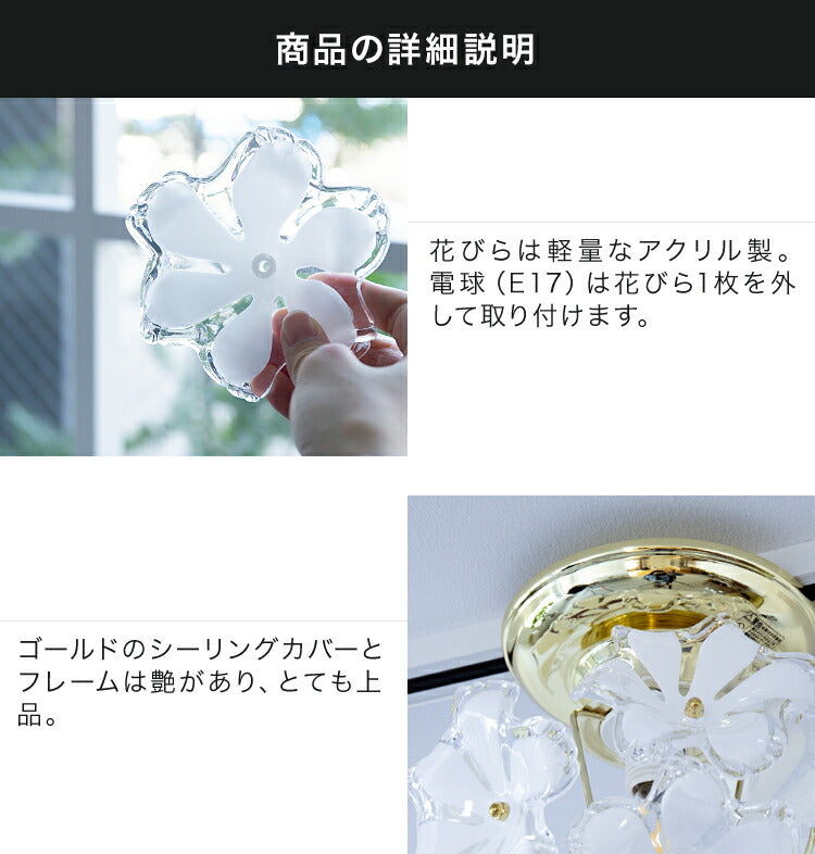 照明 シーリングライト 1灯 プチシーリングライト ブルーム ライト 花