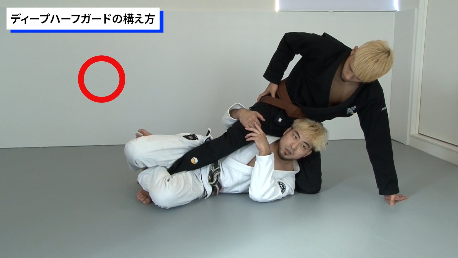 BJJ LAB】【セット販売】『ハーフガードの原理原則』＋『ディープ