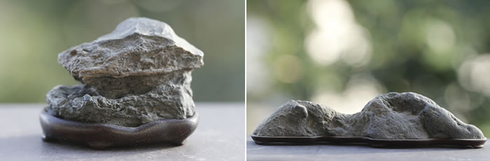 盆栽と水石｜キミのミニ盆栽びより