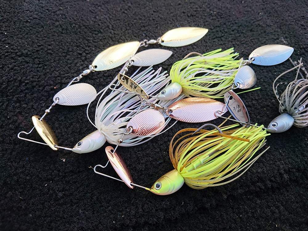 シャッドクランクReazzy(リズィー)フィールドテスト』 – Bottomup