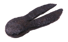 BU Daddy【オンラインストア限定】 – Bottomup(ボトムアップ)公式サイト