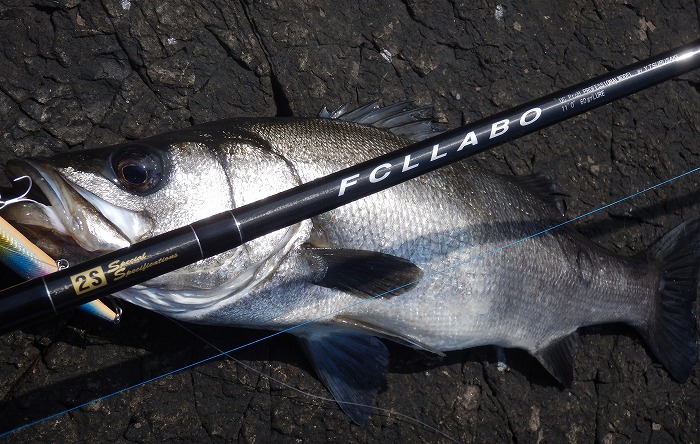 FCLLABO UC11 2S ファーストインプレッション① - 三十にして立ち、四