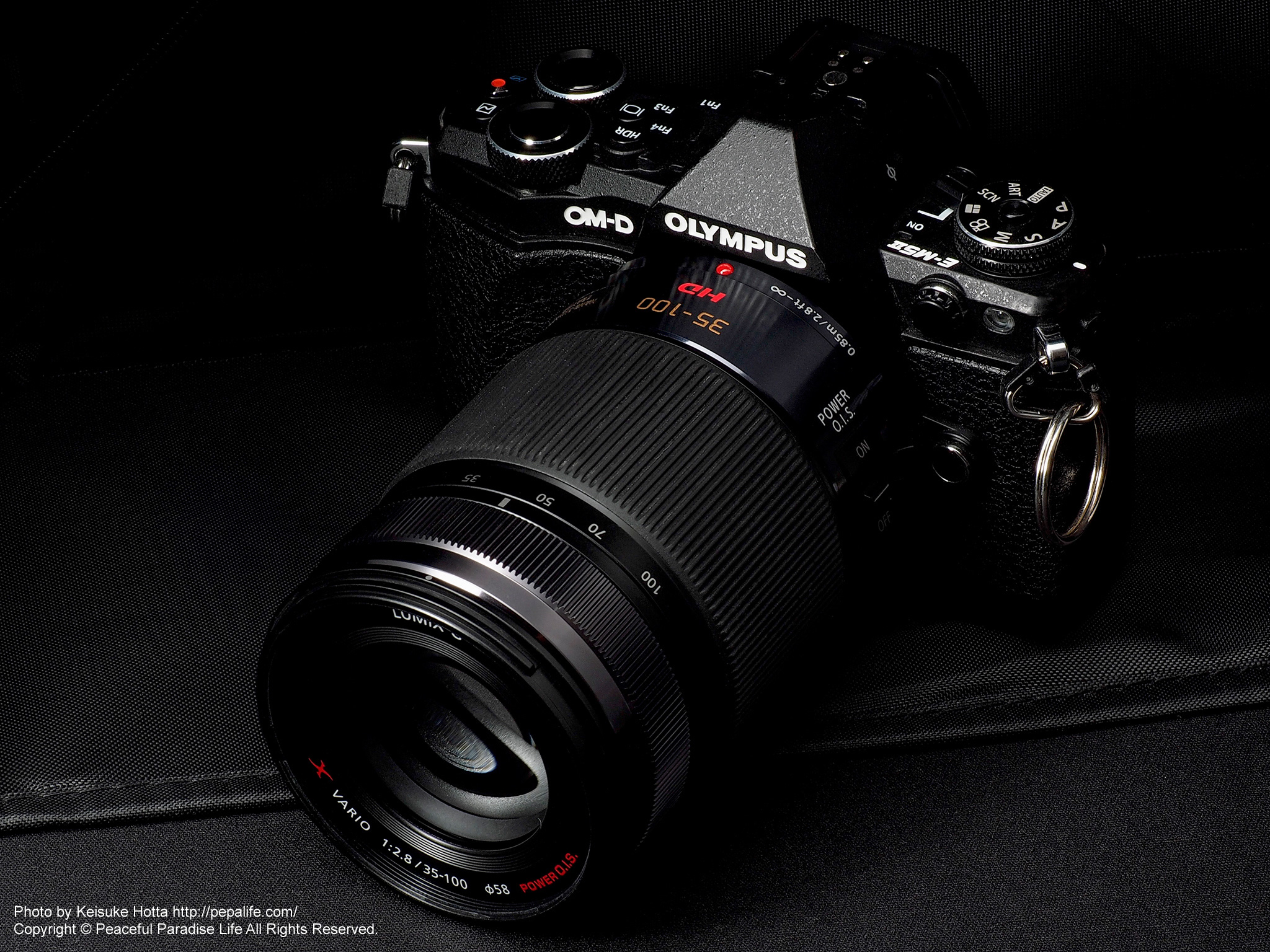 止まらない衝動】 LUMIX G X VARIO 35-100mm F2.8 POWER O.I.S.を購入
