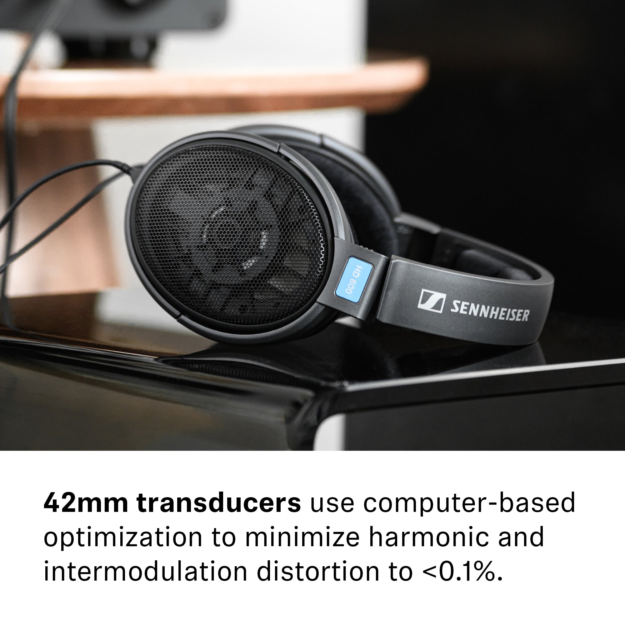 Sennheiser HD600 | Bloom Audio
