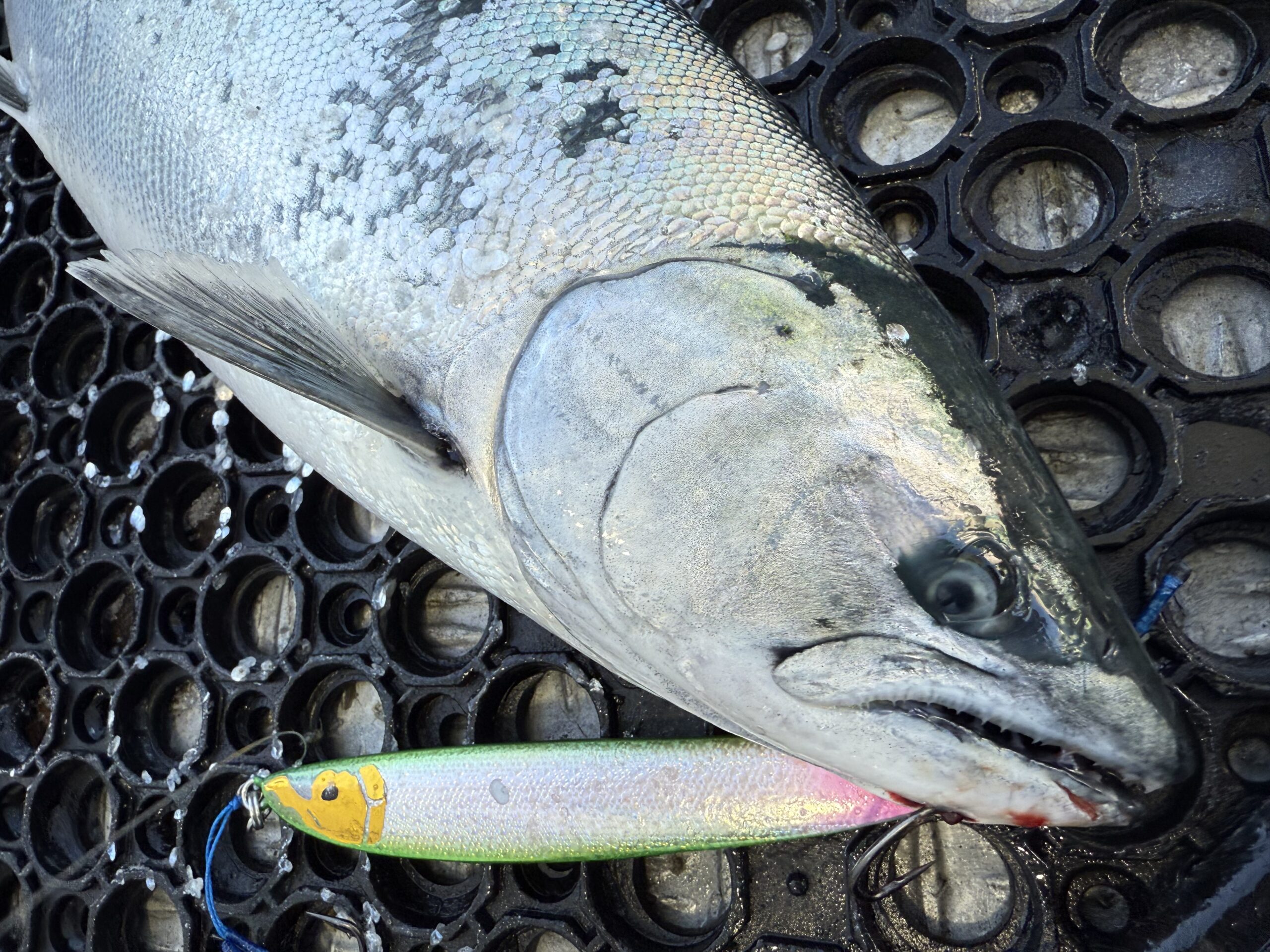 D-3 Custom Lure's】”Blakiston BKT-500L”入荷！ - 道東の釣りなら