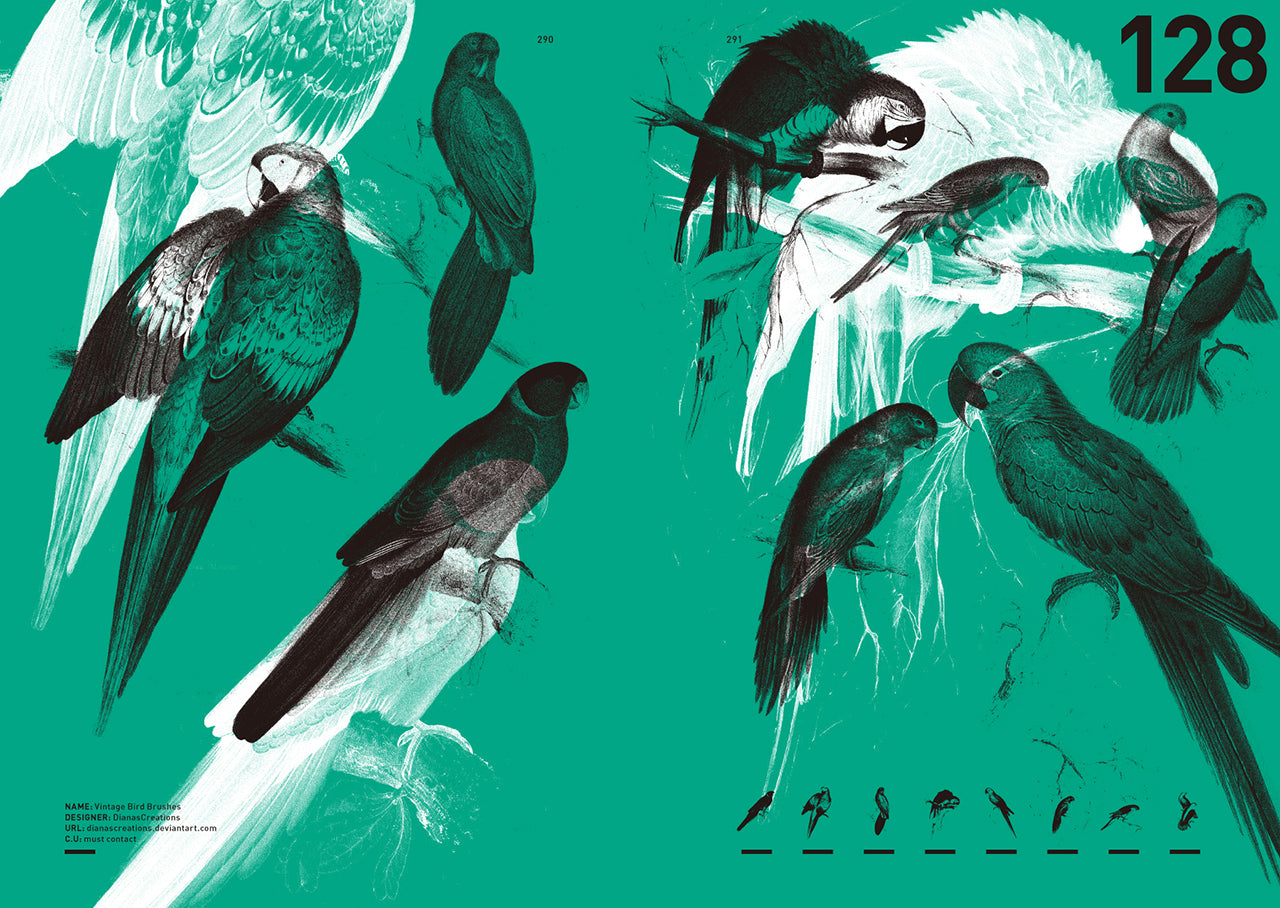 BRUSH UP! 世界のPhotoshopブラシ・コレクション | 株式会社ビー・エヌ