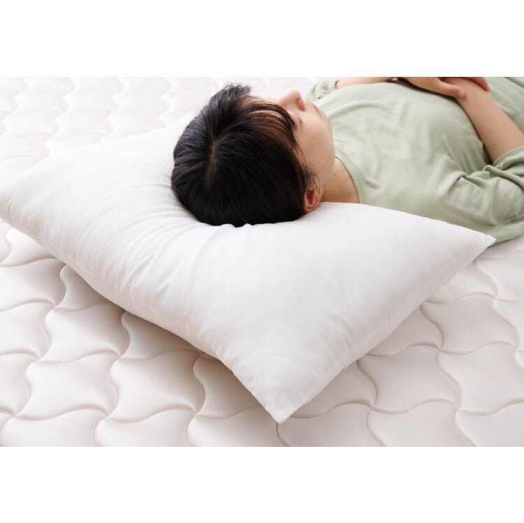 ウォッシャブル枕 43×63cm 日本製 東レ ダニゲル セベリス TORAY 東レ