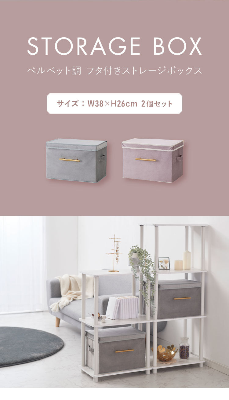 デザインストレージボックス 2個セット 収納 幅38cm 折りたたみ 蓋付き