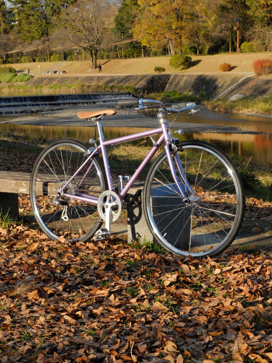 FUJI / BALLAD - 京都の自転車専門店 サイクルどり〜む/アシスト
